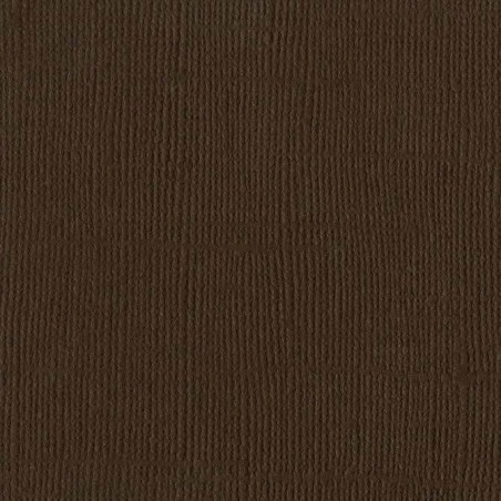 Cartulina Bazzill Mono Text Café 12x12 Pulg | 301837