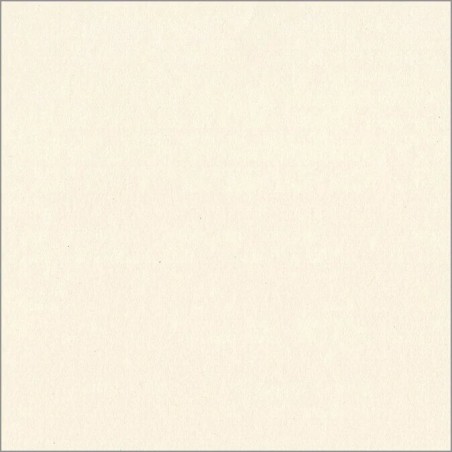 Cartulina Bazzill Liso Natural 12x12 Pulg | 300362