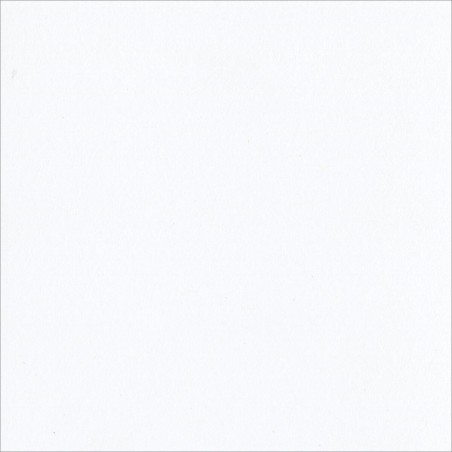 Papel Bazzill Blanco Clásico 12x12 Pulg. | 303721